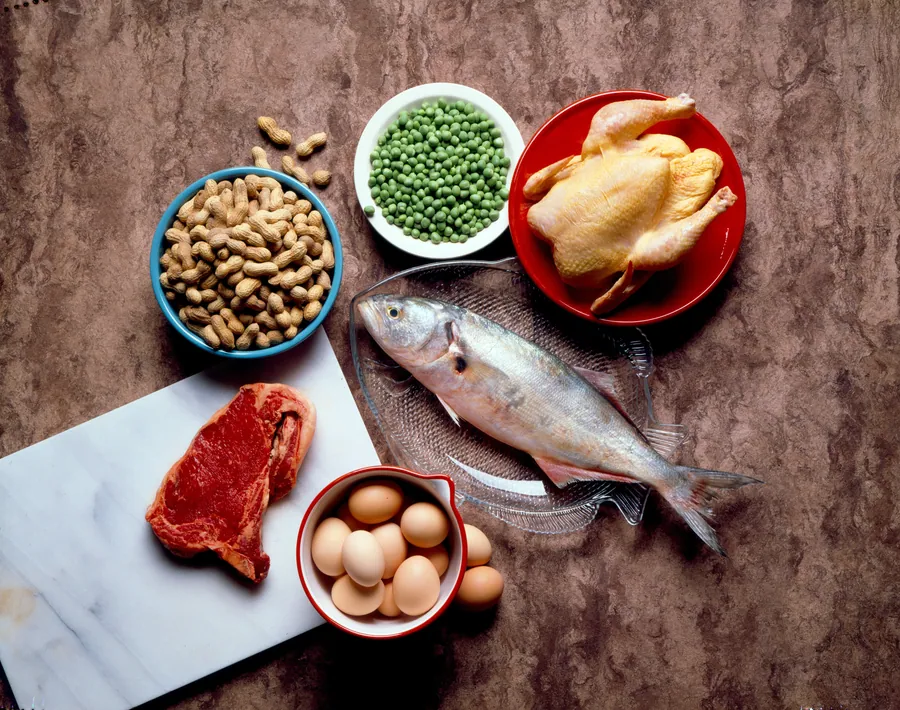 Nutrition Coaching at Catalyst Chiropractic and Rehab in Blaine, MN